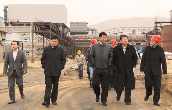 寶鋼化工有限公司董事長王力一行到我市參觀考察