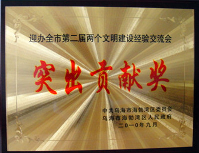 2010年烏海市文明建設經(jīng)驗交流會突出貢獻獎